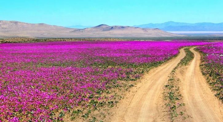 Naturaleza