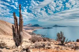 Parque Nacional Pan de Azúcar