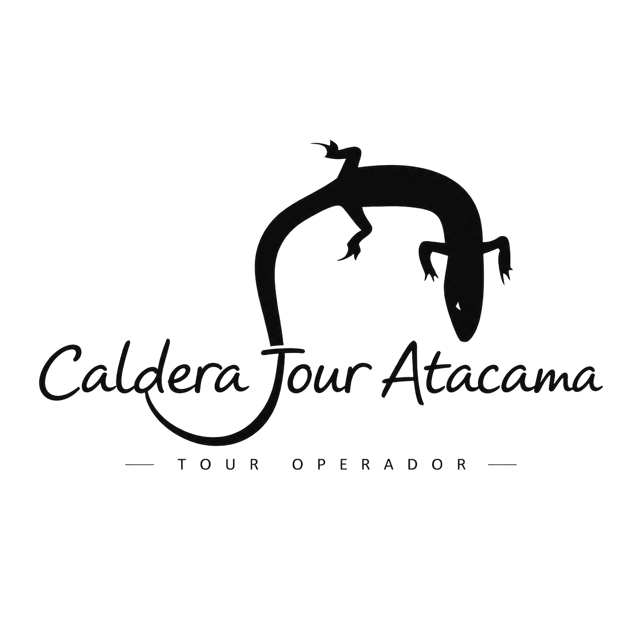 Caldera Tour Atacama
